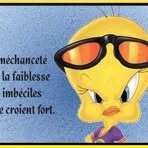 Steven Auberger - Facebook