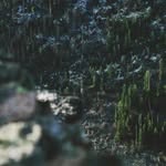 Steve Auer - @steve_auer459966 - Instagram