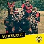 Steve Jauer - @jauersteve - Instagram