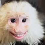 Steve Auger - @taugerlynn - Instagram
