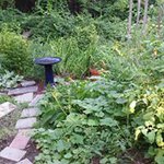 Steve August - @fudgeaugust - Instagram