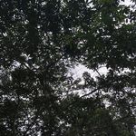 Steve Auguste Stilien - @steve_stilien - Instagram