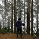 Steve Augustine Charles - @cap_bolt7 - Instagram