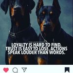 steve - @steve_aune - Instagram