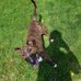 Stephen Averill - Facebook