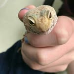 Steve Hawkins🐊 - @steve_avery_ - Instagram