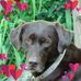 Steven Bader - Facebook