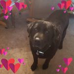 Steven Bader - @steven.bader.984 - Instagram