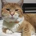Steve Baik - Facebook