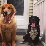 Steve Bair - @sebair49 - Instagram