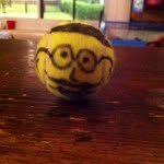 Steve The Balding Tennis Ball - @stevethebaldingtennisball - Instagram