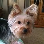 Tammy Stevens Baldridge - @stevensbaldridge - Instagram