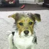 Steve Banham645 - @stevebanham38 - TikTok