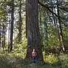 Steve Barnett - @steve.barnett2 - TikTok