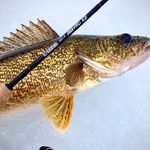 Steve Barnett - @gamblersteve - Instagram