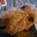 Steven Beardsley - Facebook