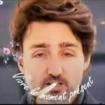 Steve Beauchamp - @beauchamp.steve - Instagram