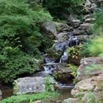 Steve Beavers - @beavers1976 - Instagram