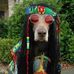 Steve Beckett - Facebook