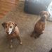 Steve Bedard - Facebook