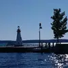 Steven Beecher343 - @stevenbeecher0 - TikTok