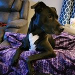 Steve Belcher - @steve.belcher.75 - Instagram