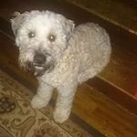 steve belcher - @steve184032 - Instagram