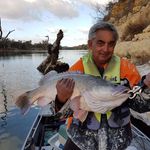 Steve Belcher - @sbelcher10 - Instagram