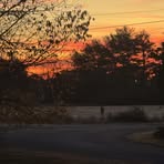 Steven Belcher - Facebook