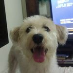 Steve Quartim Benedetti - @stevequartim - Instagram