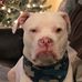 Steven Benevento - Facebook
