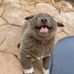 Steve Bennion - Facebook