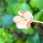 Steve Benoit - @scbenoit1 - Instagram