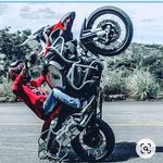 BERNARDO COSTA STEVE - @stevebernardocosta - Instagram