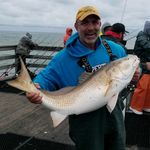 Steve Bernardo - @stevebernardo252 - Instagram