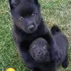 stevebernhard2 - @stevebernhard2 - TikTok
