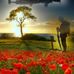 Steve Bessant - Facebook