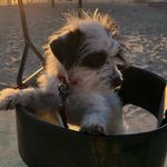 Steve Bevilacqua - @steve.bevilacqua - Instagram