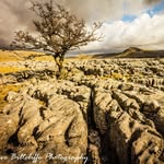 Steve Biltcliffe Photography - @steve_biltcliffe_photography - Instagram
