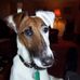 Steve Bickel - Facebook