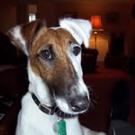 Steve Bickel - @bickel7497 - Instagram
