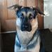 Steve Bickel - Facebook