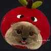 Steve Bill - @stevebillman - TikTok