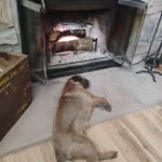 Steve Bingham - @stevebingham31 - Instagram