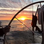 Steve Bingham - @steve_on_a_boat - Instagram