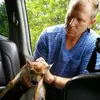 Steve Bingham - @steve.bingham5 - TikTok