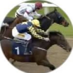 Steve Binns - @binnsy677 - Instagram