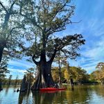 Steve Birmingham - @stevebirmingham - Instagram