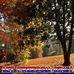 Stephen Blevins - Facebook