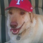 Steve Blevins - @sblevinsvffl - Instagram